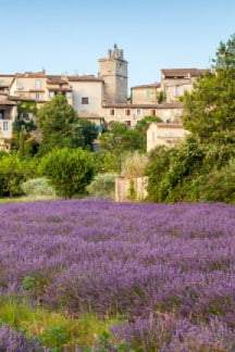 Provence